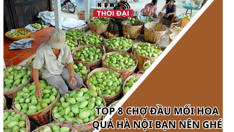 TOP 8 CHỢ ĐẦU MỐI HOA QUẢ HÀ NỘI BẠN NÊN GHÉ