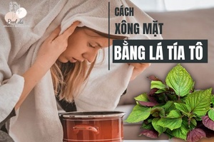 Điểm Danh 5 Cách Xông Mặt Bằng Lá Tía Tô Dễ Thực Hiện Nhất