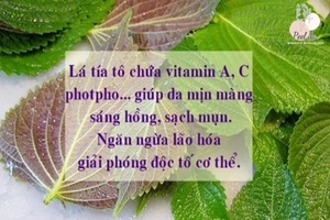 Cách xông mặt bằng lá tía tô