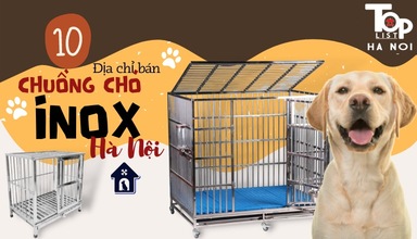 Top 10 địa chỉ bán chuồng chó inox Hà Nội uy tín