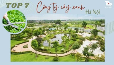 Top 7 công ty cây xanh Hà Nội tốt nhất