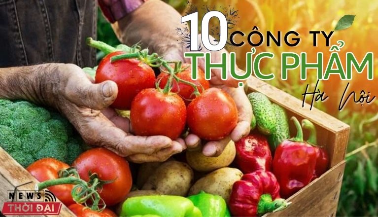 10 Công Ty Thực Phẩm Hà Nội Được Tin Dùng Nhất Hiện Nay