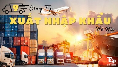 Top 9 công ty xuất nhập khẩu Hà Nội dịch vụ tốt nhất