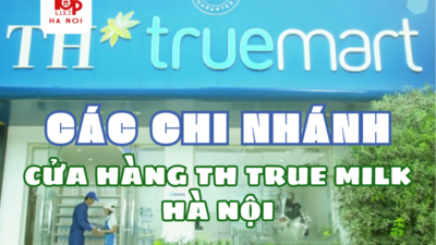 CÁC CHI NHÁNH CỬA HÀNG TH TRUE MILK HÀ NỘI