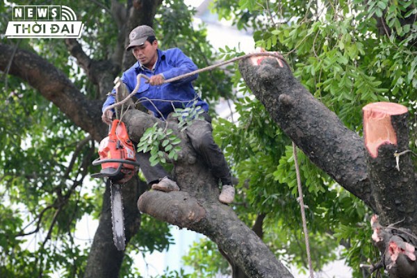 Nhân viên ở Trọng Tín có tay nghề cao