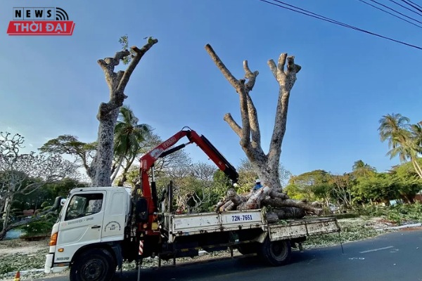 Huy Hoàng trang bị máy móc hiện đại nâng cao chất lượng dịch vụ