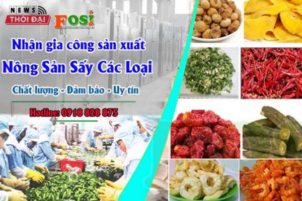 Dịch vụ sấy khô thực phẩm TPHCM ở FOSI