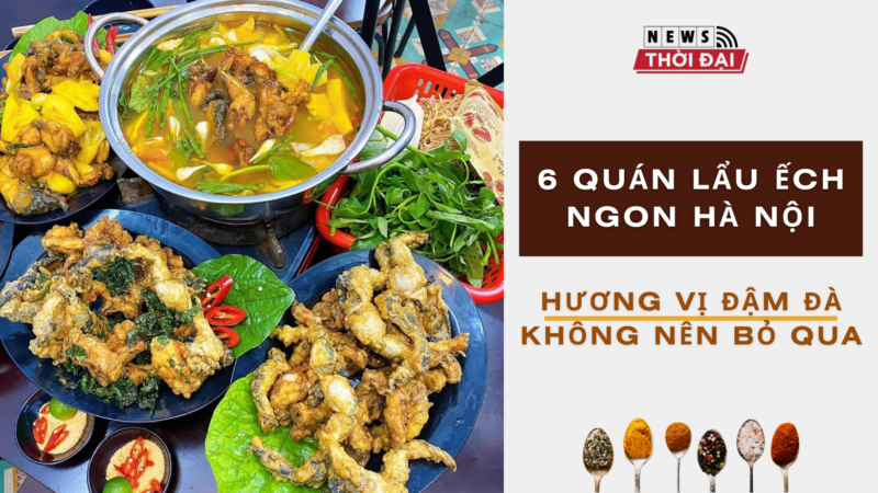 6 quán lẩu ếch ngon Hà Nội, hương vị đậm đà không nên bỏ qua