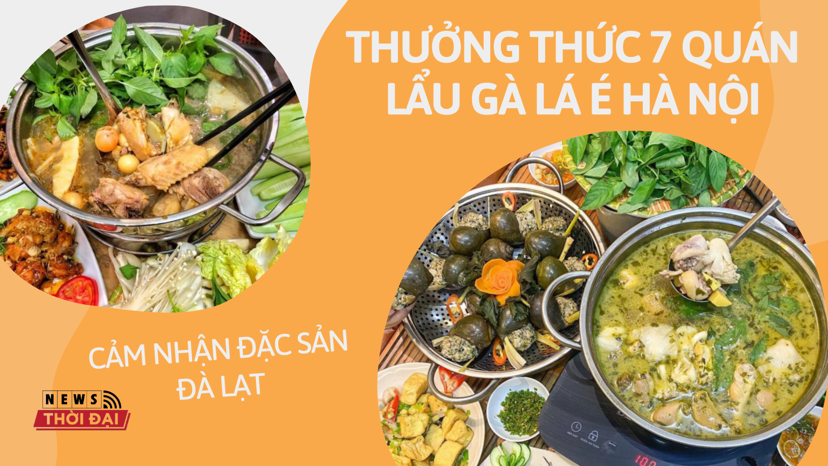 Thưởng thức 7 quán lẩu gà lá é Hà Nội – Cảm nhận đặc sản Đà Lạt