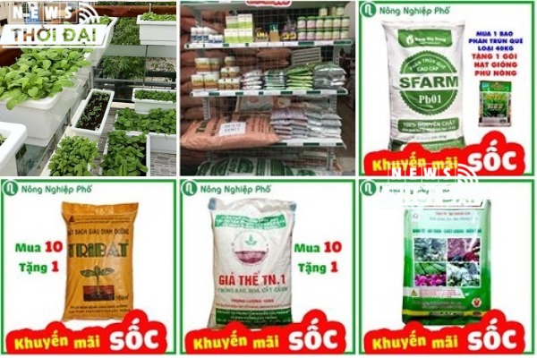 Mua đất trồng rau Hà Nội 2