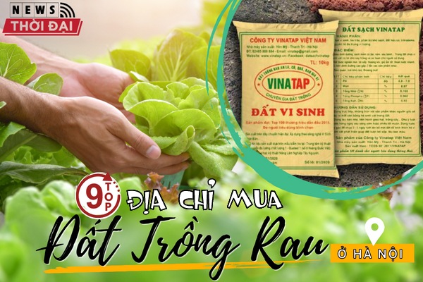 Khám phá 9 Địa Chỉ Mua Đất Trồng Rau Ở Hà Nội Cực Tốt