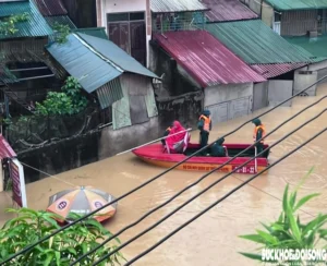 Mưa lũ - Công tác cứu hộ