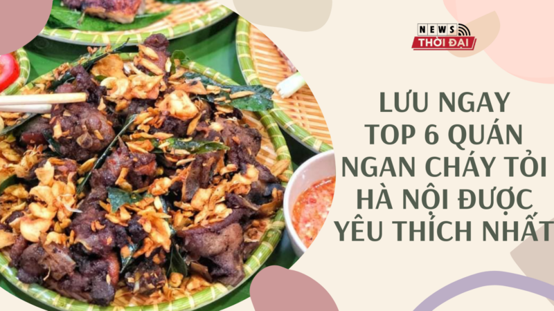 LƯU NGAY TOP 6 QUÁN NGAN CHÁY TỎI HÀ NỘI ĐƯỢC YÊU THÍCH NHẤT