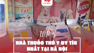 TOP 5 NHÀ THUỐC THÚ Y UY TÍN NHẤT TẠI HÀ NỘI