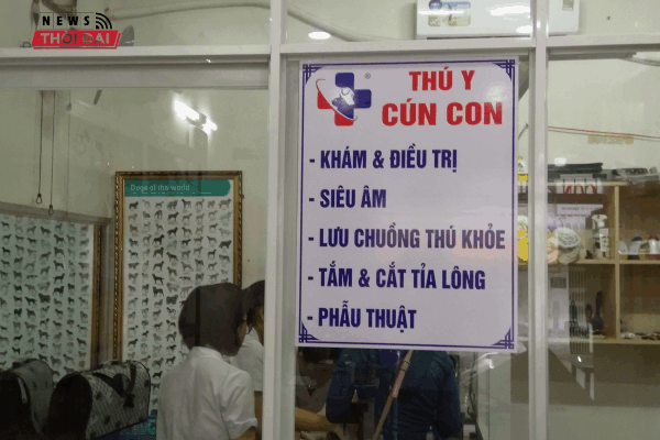 Phòng khám Thú y Phước Bình