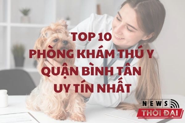 Top 10 Phòng Khám Thú Y Quận Bình Tân Uy Tín Nhất