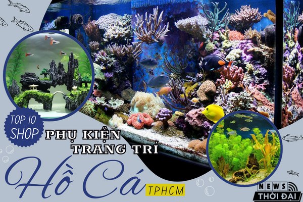 Top 10 Shop Phụ Kiện Trang Trí Hồ Cá TPHCM Cực Tốt