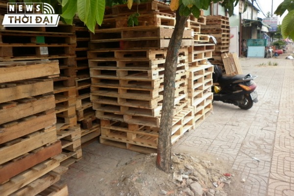 Tấm pallet gỗ giá rẻ TPHCM 4