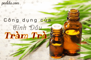 Tinh Dầu Tràm Trà Có Tác Dụng Gì? Review 7 Tác Dụng Dầu Tràm