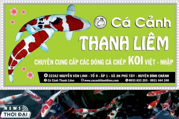 Cá Cảnh Thanh Liêm