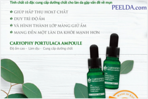 ưu diem va nhuoc diem Serum Caryophy