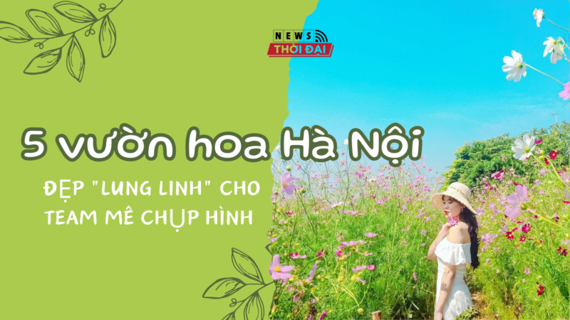 5 vườn hoa Hà Nội đẹp lung linh cho team mê chụp hình