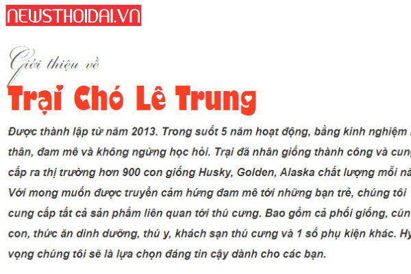 mua-cho-canh-gia-re-tphcm